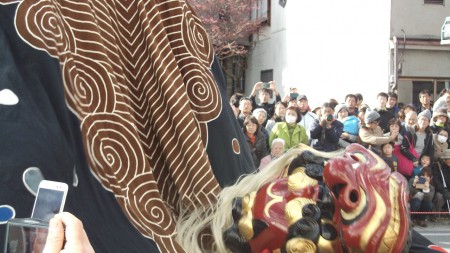 荒ぶる日本最大の獅子：東野大獅子保存会